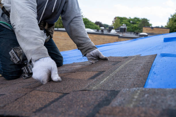 Best New Roof Installation  in Hinesville, GA