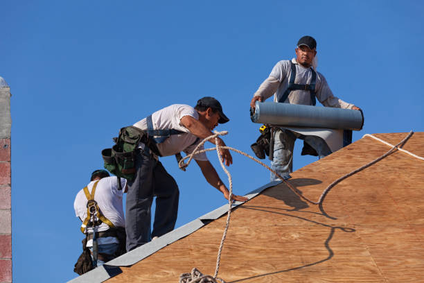 Professional Roofing Contractor in Hinesville, GA