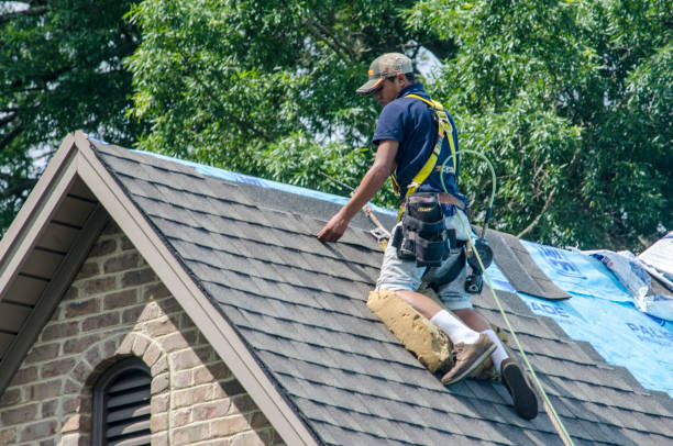 Best Roof Gutter Cleaning  in Hinesville, GA
